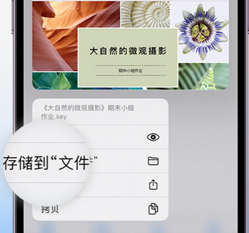 深州apple维修中心分享iPhone文件应用中存储和找到下载文件