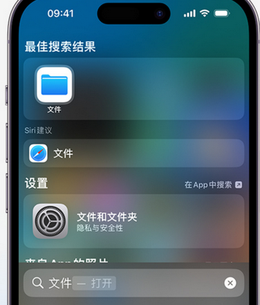 深州apple维修中心分享iPhone文件应用中存储和找到下载文件