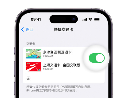 深州apple维修点分享iPhone上更换Apple Pay快捷交通卡手绘卡面 