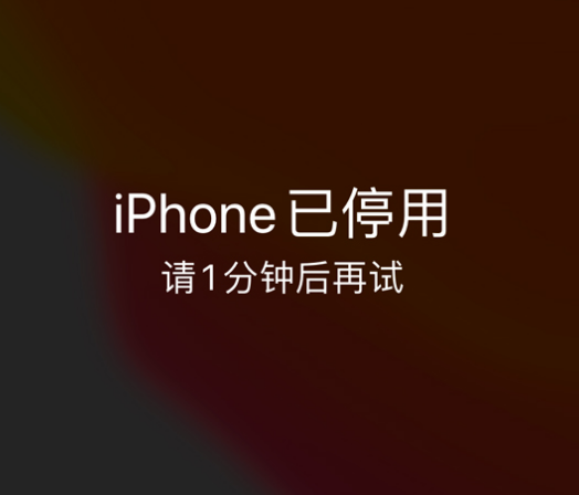 深州苹果手机维修分享:iPhone 显示“不可用”或“已停用”怎么办？还能保留数据吗？ 