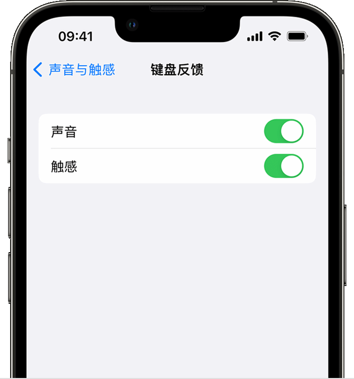 深州苹果14维修店分享如何在 iPhone 14 机型中使用触感键盘 