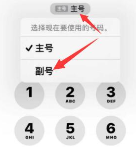 深州苹果14维修店分享iPhone 14 Pro Max使用副卡打电话的方法 