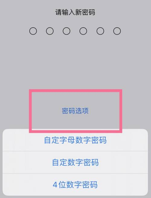 深州苹果14维修分享iPhone 14plus设置密码的方法 