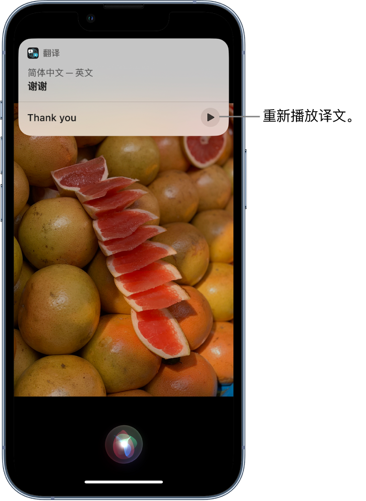 深州苹果14维修分享 iPhone 14 机型中使用 Siri：了解 Siri 能帮你做什么 