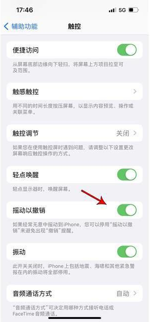 深州苹果手机维修分享iPhone手机如何设置摇一摇删除文字 