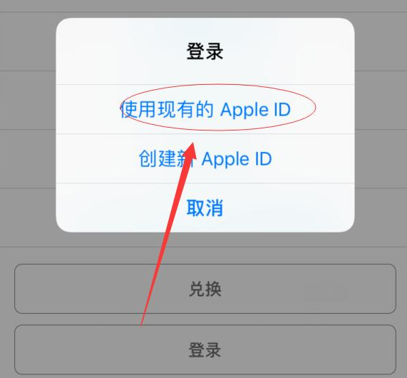 深州苹果手机维修分享两台iPhone设备可以同时登录一个Apple ID吗 