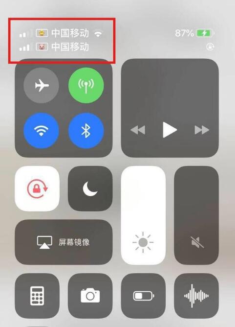 深州苹果手机维修分享为 iPhone 12 双卡设置标签 