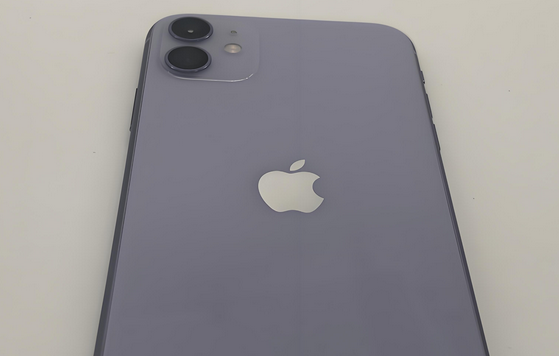 深州苹果11系统维修分享iPhone11手机系统崩溃无法开机如何解决 
